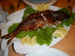 Levengi: Fisch mit Nussfüllung und dazu Granatapfelsoße